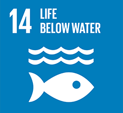 Fourth Edition's Axes