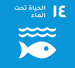 محاور الدورة الرابعة