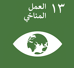 محاور الدورة الأولى