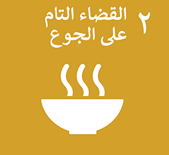 محاور الدورة الرابعة