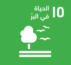 محاور الدورة الثانية