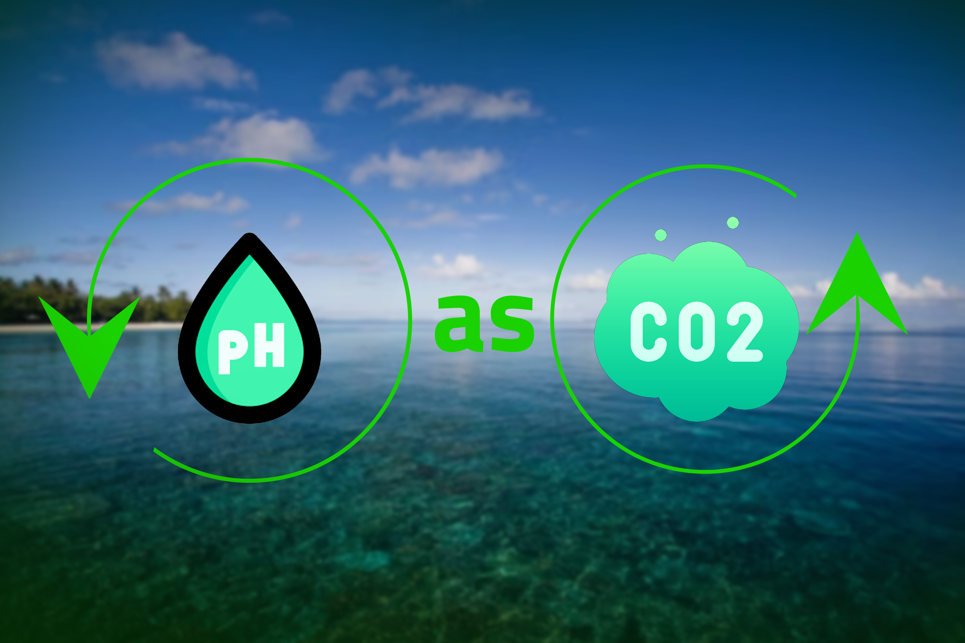 تحمض المحيطات