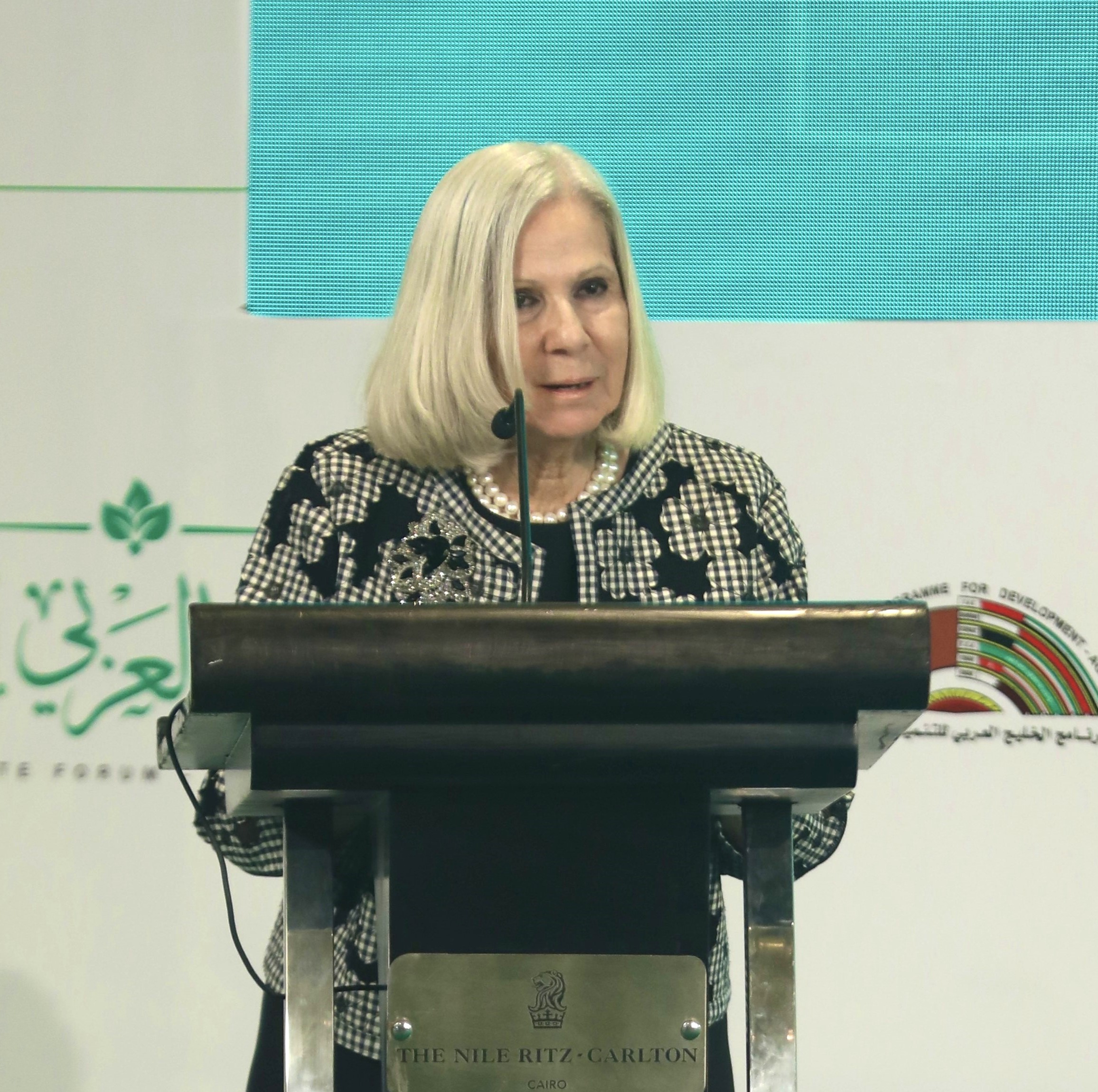 معالي السفيرة 
د. هيفاء أبو غزالة